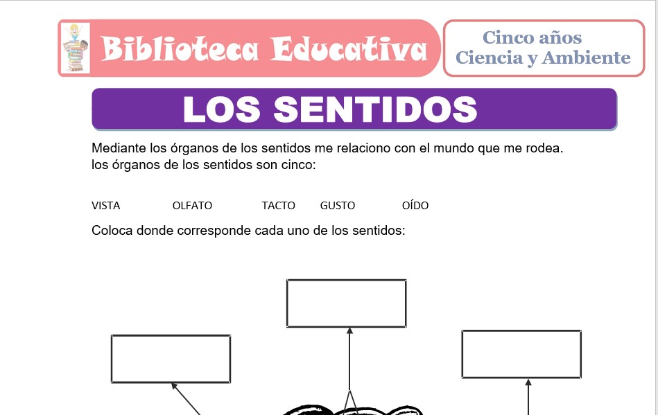 Modelo de la Ficha de Los Sentidos para niños de nivel inicial