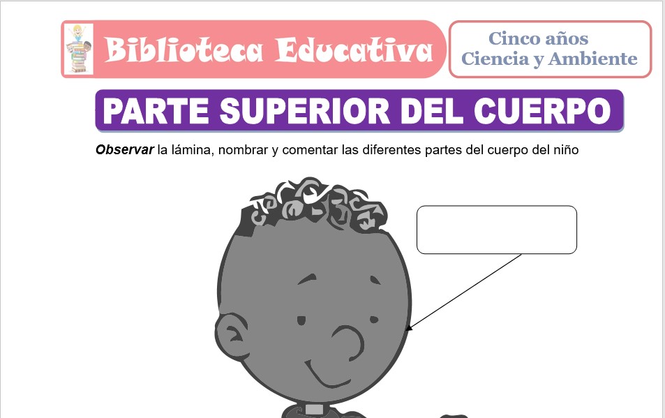 Modelo de la Ficha de Parte Superior del Cuerpo para niños de nivel inicial